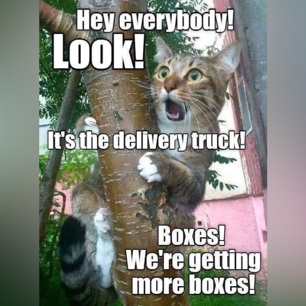 👀👀📦📦🚚📦📦👀👀